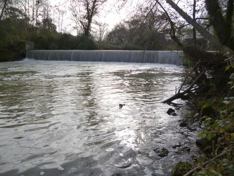 Camping Le Mouliat - Camping Lot-et-Garonne - Image N°34