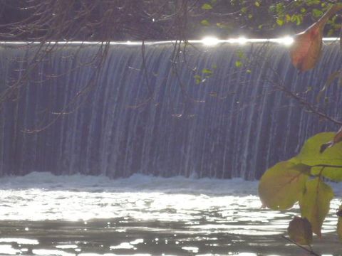 Camping Le Mouliat - Camping Lot-et-Garonne - Image N°32