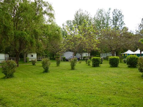 Camping Le Mouliat - Camping Lot-et-Garonne - Image N°19