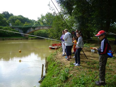 Camping Le Mouliat - Camping Lot-et-Garonne - Image N°19