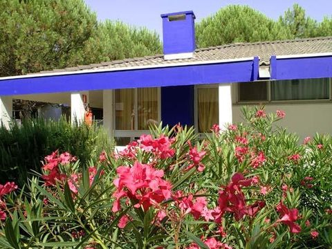 BUNGALOW 4 personnes - Superior