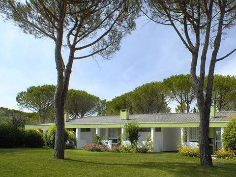 Bungalow 4 personnes - Comfort