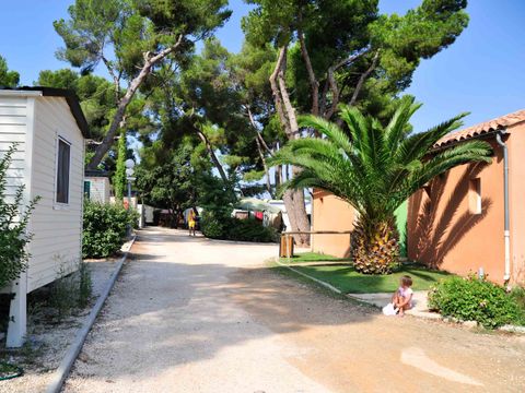 Camping Pascalounet - Camping Bouches-du-Rhône - Image N°7