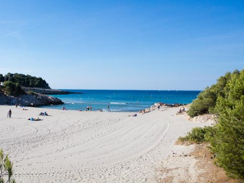 Camping Pascalounet - Camping Bouches-du-Rhône - Image N°22