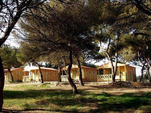 Camping Pascalounet - Camping Bouches-du-Rhône - Image N°15