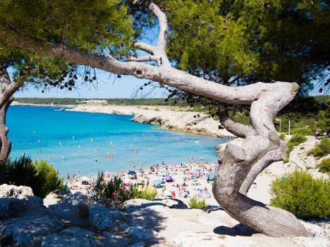 Camping Pascalounet - Camping Bouches-du-Rhône - Image N°30