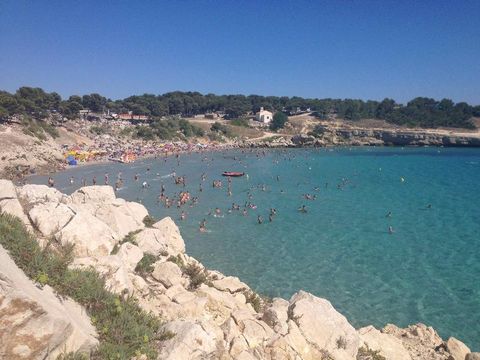 Camping Pascalounet - Camping Bouches-du-Rhône - Image N°32