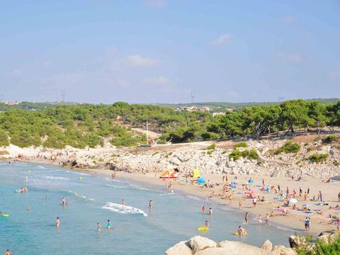 Camping Pascalounet - Camping Bouches-du-Rhône - Image N°31