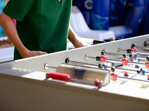 Camping Pascalounet - Camping Bouches-du-Rhône - Image N°46