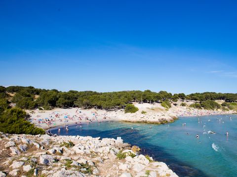 Camping Pascalounet - Camping Bouches-du-Rhône - Image N°3