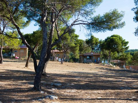 Camping Pascalounet - Camping Bouches-du-Rhône - Image N°27