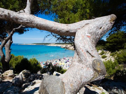 Camping Pascalounet - Camping Bouches-du-Rhône - Image N°14