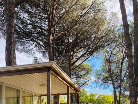 Camping Maureillas - Camping Pyrénées-Orientales - Image N°2
