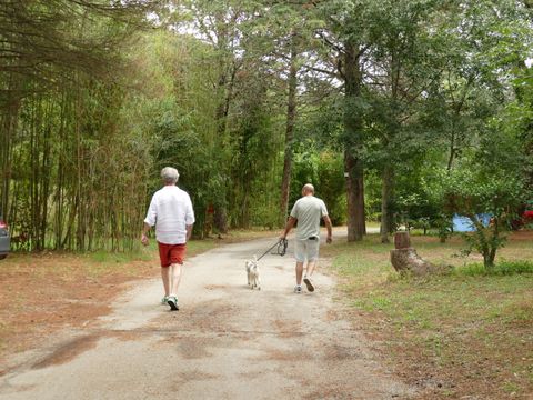Camping Val Roma Park - Camping Pyrénées-Orientales - Image N°22