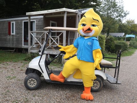 Camping Paradis Val de Trie - Camping Somme - Image N°29