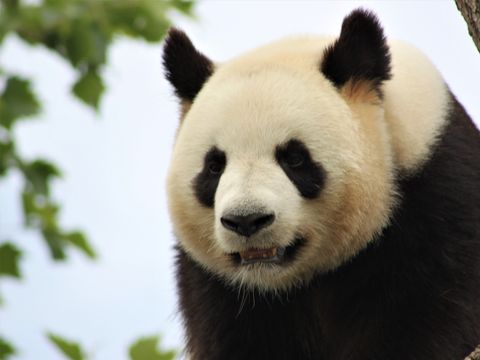 Camping Sandaya Le Château des Marais  - Camping Loir-et-Cher - Image N°24