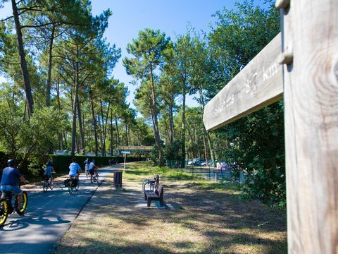 Camping Lou Pignada  - Camping Landes - Image N°61