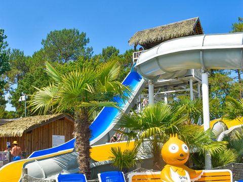 Camping Lou Pignada  - Camping Landes - Image N°19