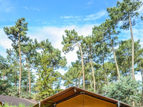 Tente en toile et en bois 5 personnes - ECOLUXE - 2 chambres