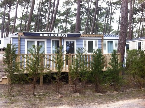 MOBILHOME 6 personnes - Type de maison mobile CD