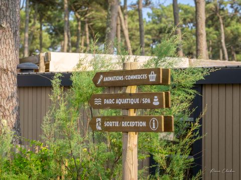 Camping Le Vieux Port - Camping Landes - Image N°52