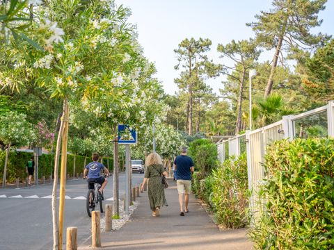 Camping Le Vieux Port - Camping Landes - Image N°4