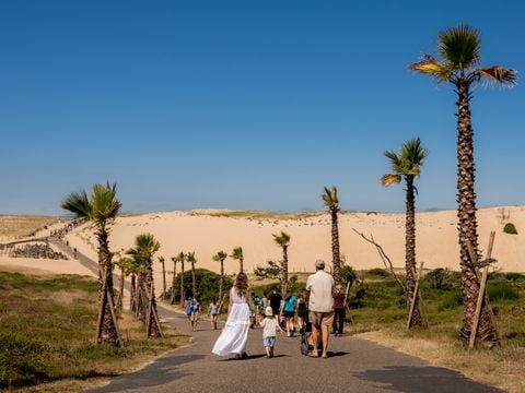 Camping Le Vieux Port - Camping Landes - Image N°64