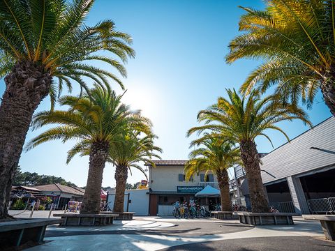 Camping Le Vieux Port - Camping Landes - Image N°55