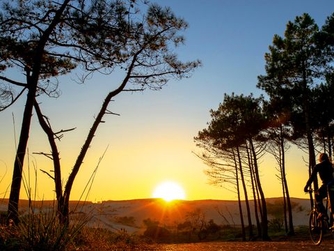 Camping Le Vieux Port - Camping Landes - Image N°73