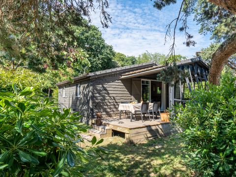 Chalet 6 personnes - Le Royal