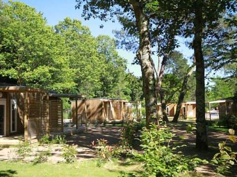 Chalet 2 personnes - Petit Ecolier - 1 chambre - 16m²