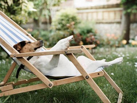 Camping Le Capelan - Camping Lozere - Image N°41