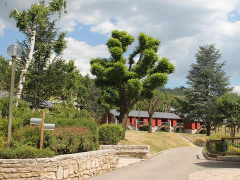 Domaine Aigoual Cévennes - Camping Lozere - Image N°23