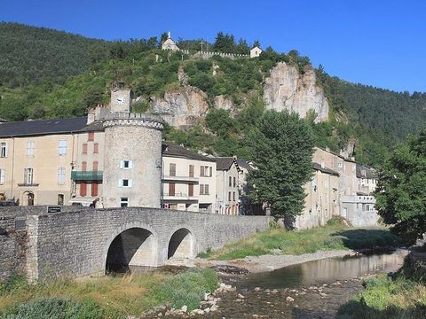 Camping Le Jardin des Cevennes - Camping Lozere - Image N°28