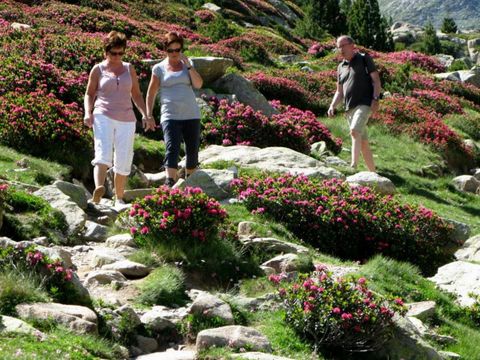 Camping La Garenne - Camping Pyrénées-Orientales - Image N°28