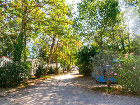Camping La Garenne - Camping Pyrénées-Orientales - Image N°35