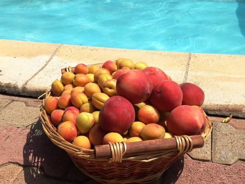 Camping La Garenne - Camping Pyrénées-Orientales - Image N°45