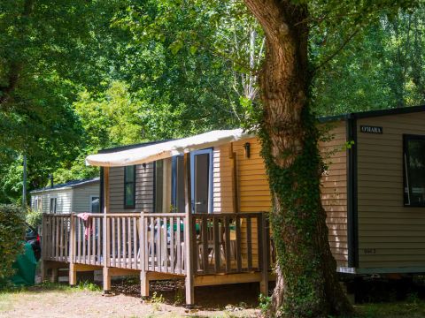 Flower Camping Saint Lambert - Camping Aveyron - Image N°33