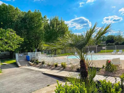 Flower Camping Saint Lambert - Camping Aveyron - Image N°6