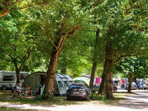 Flower Camping Saint Lambert - Camping Aveyron - Image N°44