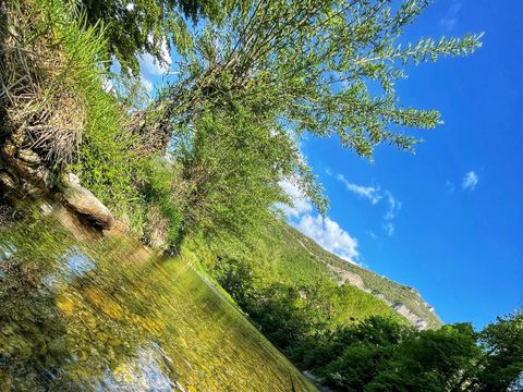 Flower Camping Saint Lambert - Camping Aveyron - Image N°39