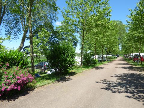 Camping de Nevers  - Camping Nièvre - Image N°19