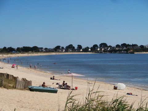 Camping et Parc Les Goelands  - Camping Morbihan - Image N°41