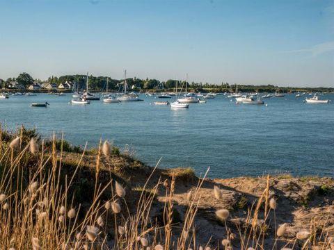 Camping et Parc Les Goelands  - Camping Morbihan - Image N°28