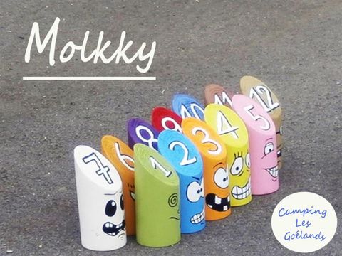 Camping et Parc Les Goelands  - Camping Morbihan - Image N°46