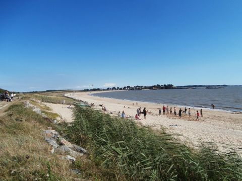 Camping et Parc Les Goelands  - Camping Morbihan - Image N°8