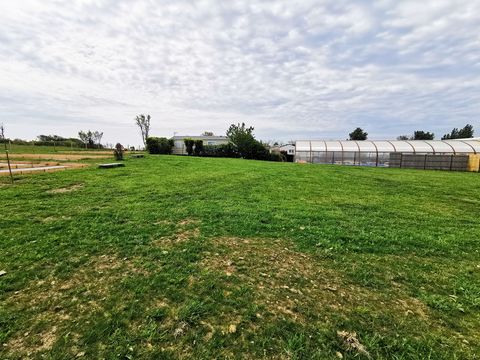 Camping et Parc Les Goelands  - Camping Morbihan - Image N°38