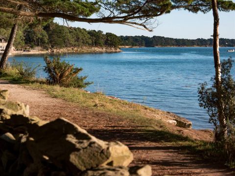 Camping et Parc Les Goelands  - Camping Morbihan - Image N°30