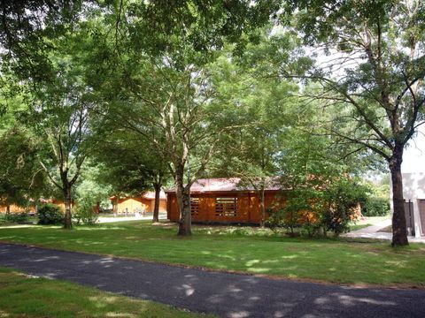 Camping Les 2 Salamandres - Camping Charente-Maritime - Image N°28