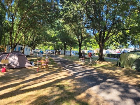 Camping Les 2 Salamandres - Camping Charente-Maritime - Image N°25